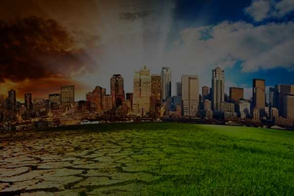 miobile banner