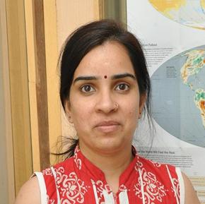 Dr Anu Rani Sharma